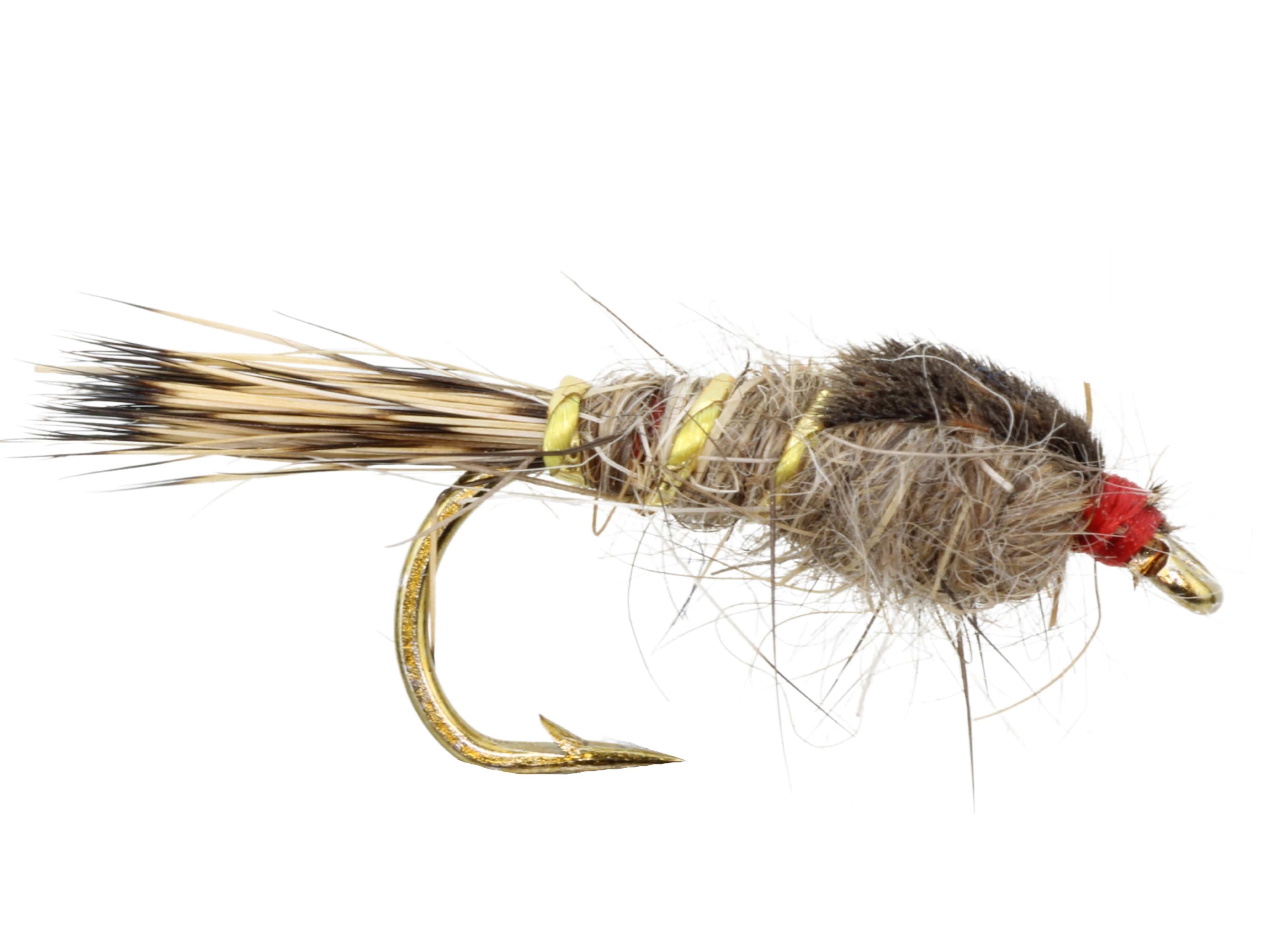 Wild Water Fly Fishing Gold Ribbed Hare's Ear Nymph, Size 12, Qty. 6