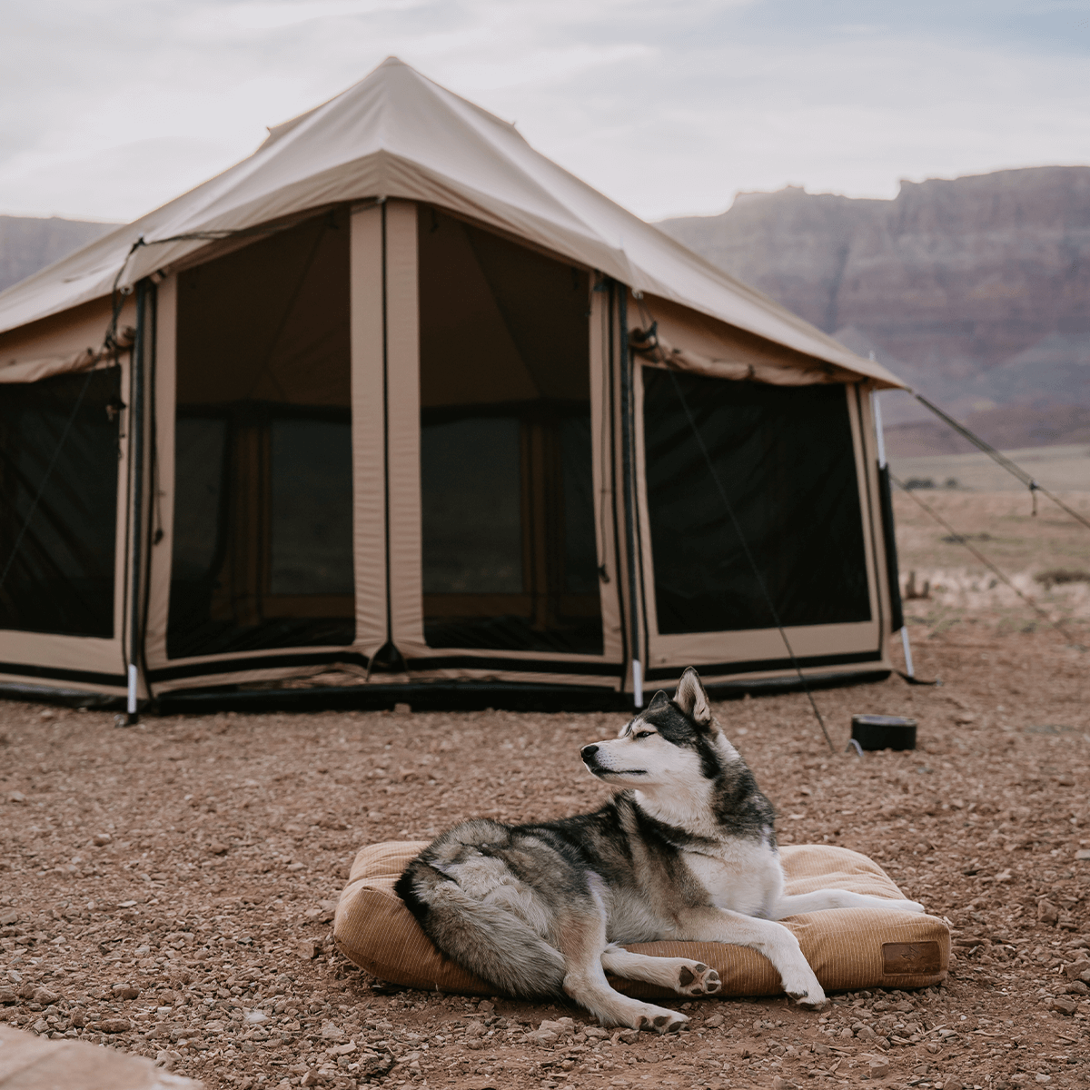 14' Altimus Bell Tent