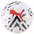 Puma Orbita 6 MS Training Soccer Ball