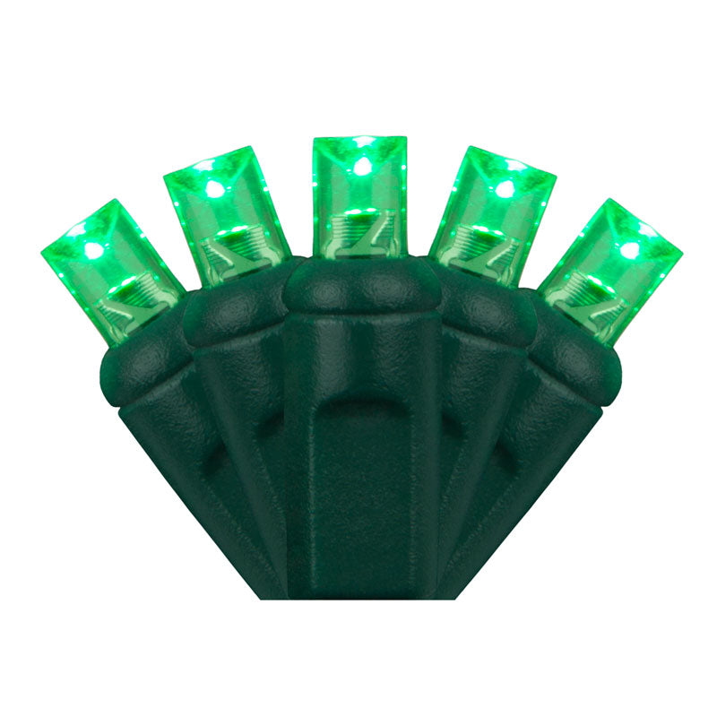 Holiday Lighting Management 5mm LED Outdoor Lights