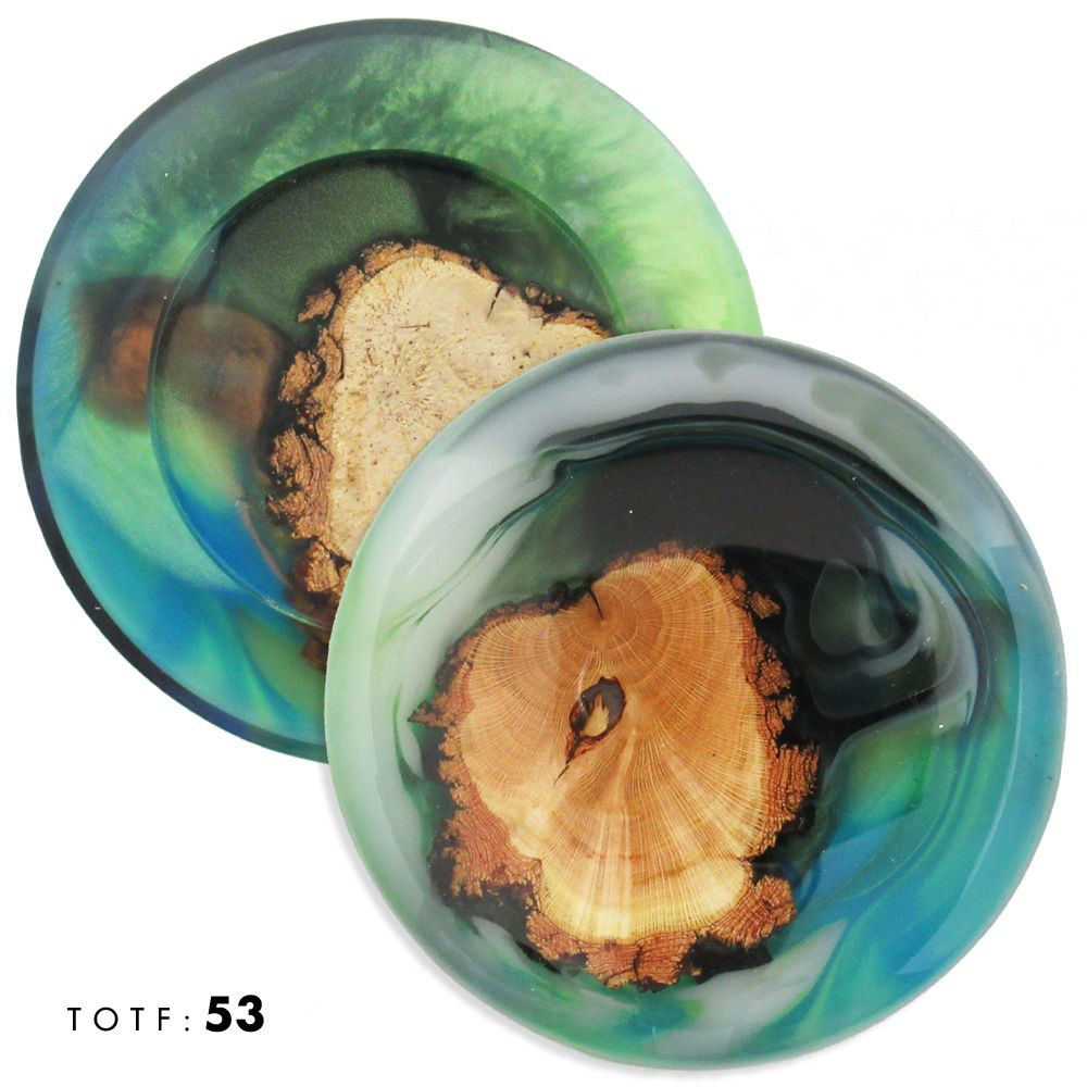 Treasures of the Forest Wood & Resin Mini Marker Disc